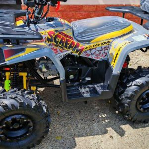 Atv de vanzare BERRETA Scream 8 4